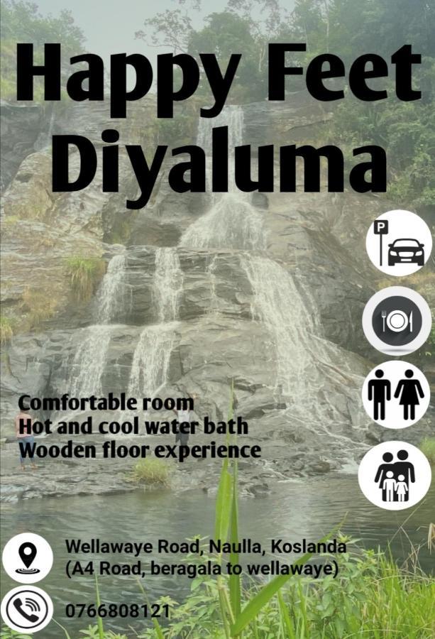 Happy Feet Diyaluma Bed & Breakfast Koslanda Bagian luar foto